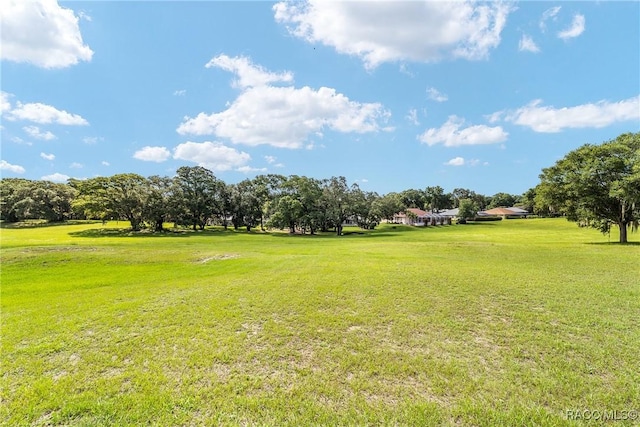 8835 SW 196th Terrace Rd, Dunnellon, FL 34432 - photo 52
