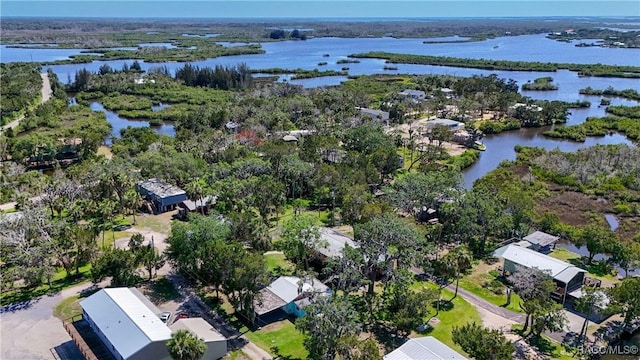 13465 W Hillbilly Ln, Crystal River, FL 34429 - aerial overview of property's location featuring a large body of water and nearby suburban area