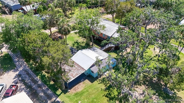 13465 W Hillbilly Ln, Crystal River, FL 34429 - view of subject property