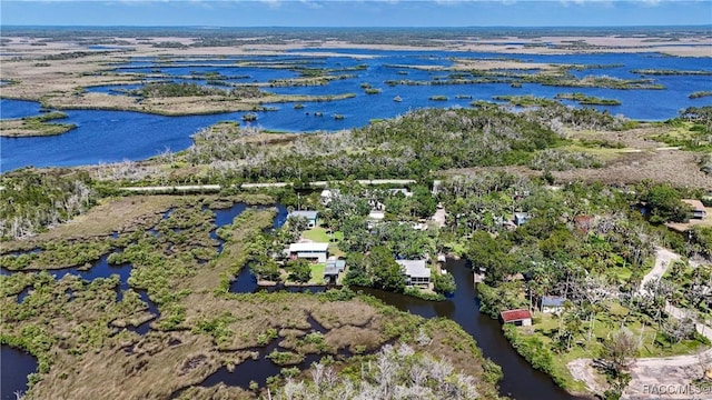 13465 W Hillbilly Ln, Crystal River, FL 34429 - drone / aerial view of a large body of water