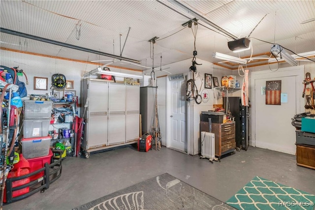 13465 W Hillbilly Ln, Crystal River, FL 34429 - garage with a garage door opener