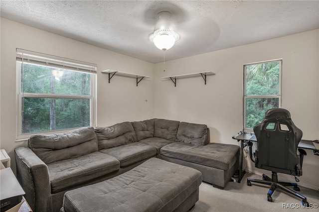 carpeted living room with a textured ceiling