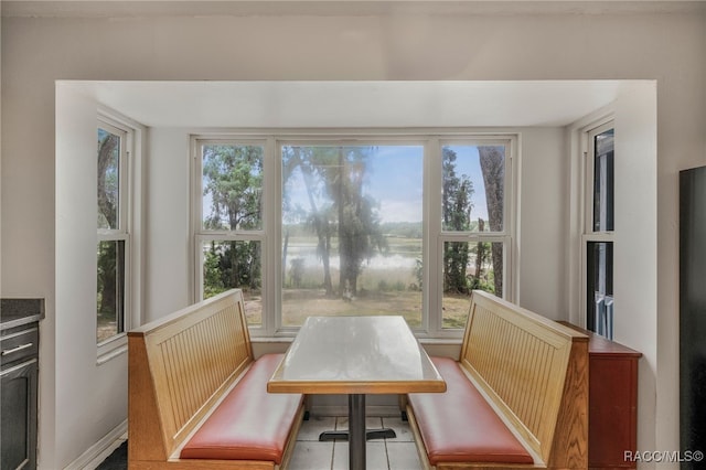 dining space with a healthy amount of sunlight