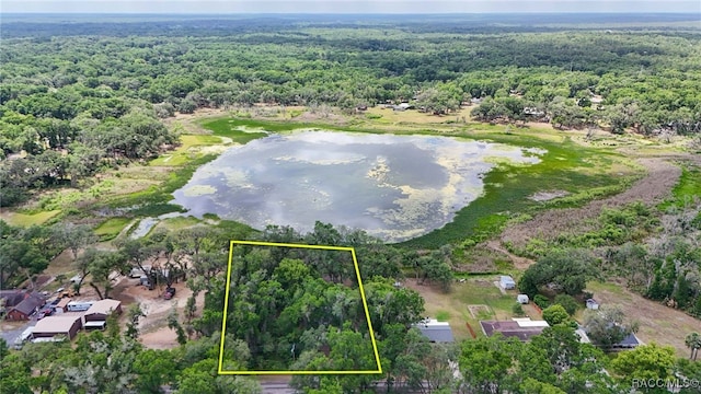 drone / aerial view with a water view and a view of trees