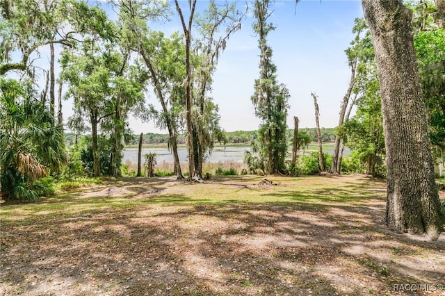 view of yard with a water view