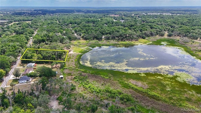 birds eye view of property featuring a water view and a forest view