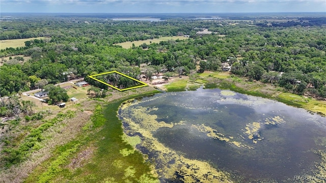 drone / aerial view featuring a water view and a wooded view