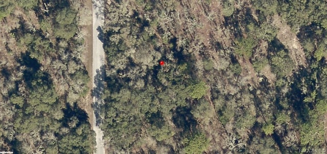 LOT35 SW Bamboo Ln, Dunnellon FL, 34431 land for sale