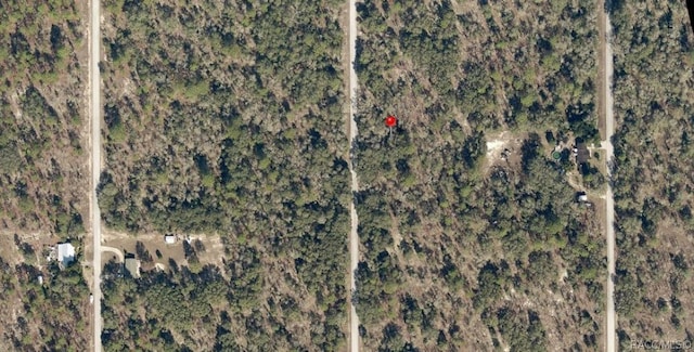 Listing photo 3 for LOT35 SW Bamboo Ln, Dunnellon FL 34431