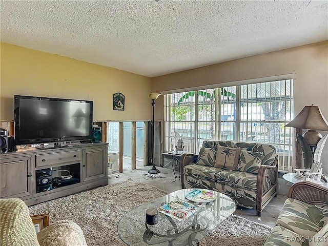 living room with a textured ceiling