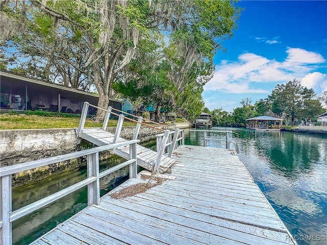 dock area with a water view