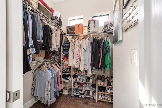 spacious closet with dark wood-type flooring