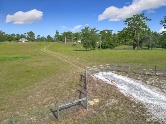 7650 SE 131st Ave, Morriston, FL 32668 - photo 3