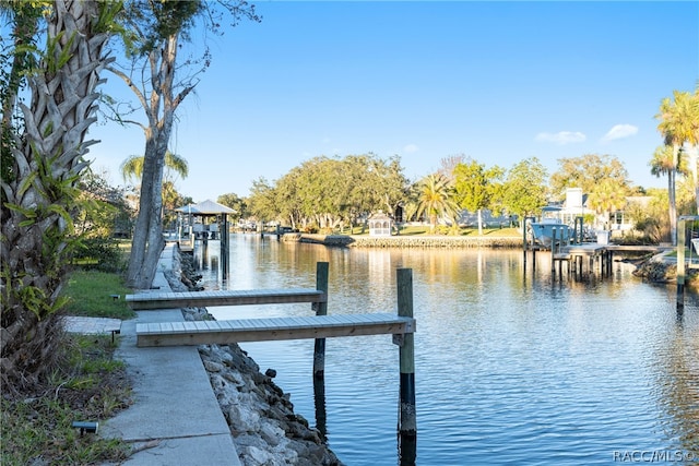 dock area with a water view