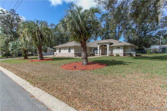 ranch-style home with a front lawn and stucco siding