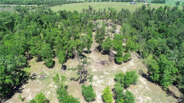 000 Weddington Rd, Sneads FL, 32460 land for sale