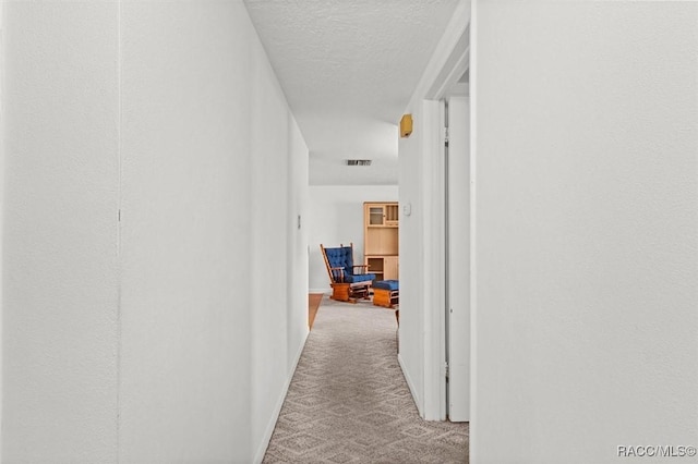 2 James St, Beverly Hills, FL 34465 - corridor with carpet flooring and a textured ceiling