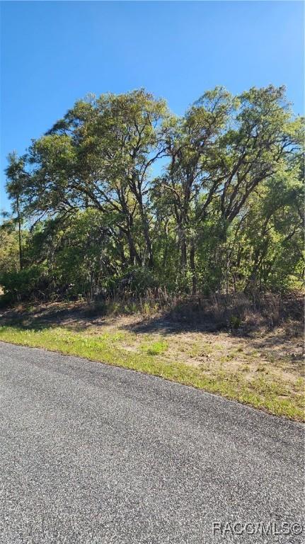 2882 W Lambert Dr, Dunnellon, FL 34433