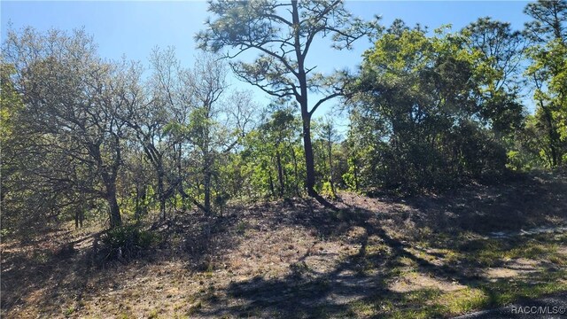 2882 W Lambert Dr, Dunnellon, FL 34433