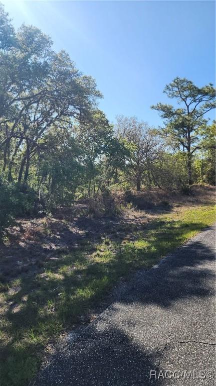 2882 W Lambert Dr, Dunnellon, FL 34433