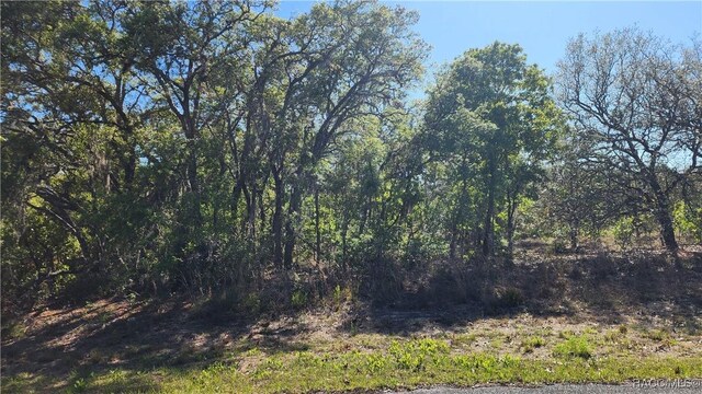 2882 W Lambert Dr, Dunnellon, FL 34433