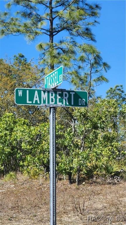 2882 W Lambert Dr, Dunnellon, FL 34433