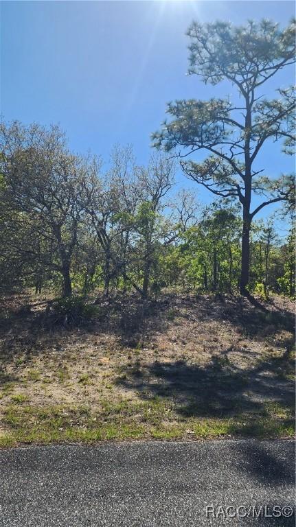 2882 W Lambert Dr, Dunnellon, FL 34433