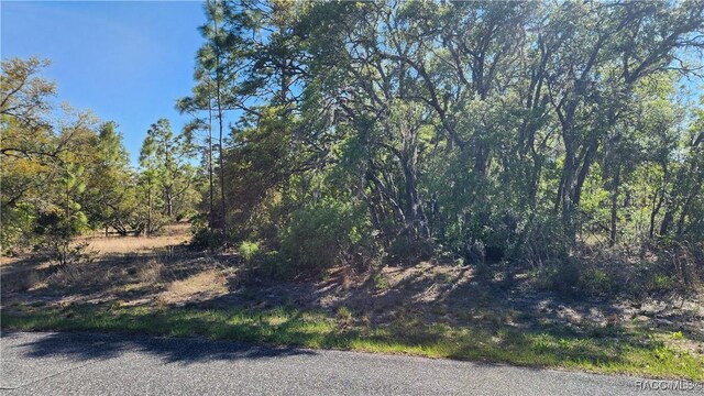 2882 W Lambert Dr, Dunnellon, FL 34433