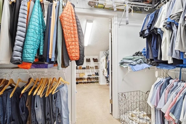 walk in closet featuring carpet floors