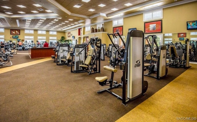 gym featuring crown molding, plenty of natural light, and a towering ceiling