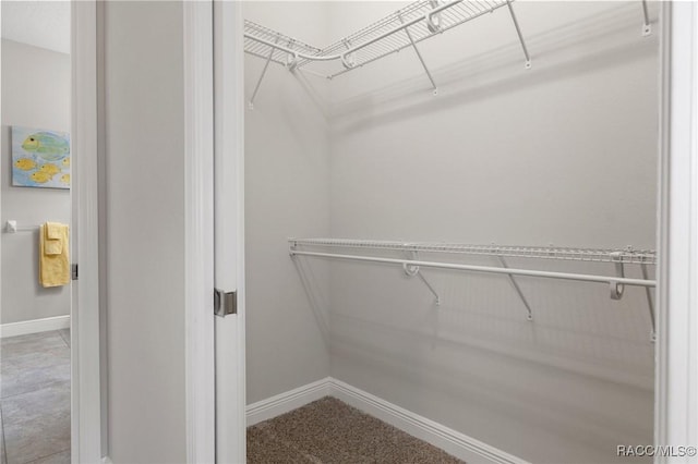 spacious closet featuring carpet flooring