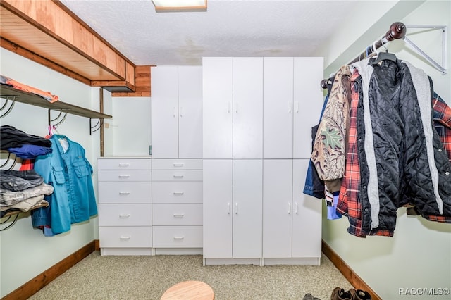 spacious closet featuring light carpet