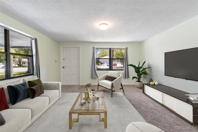 living room with light colored carpet and a textured ceiling