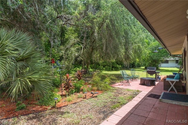 view of yard featuring a patio area