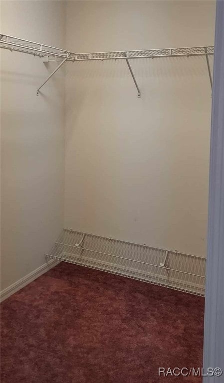 spacious closet with carpet floors