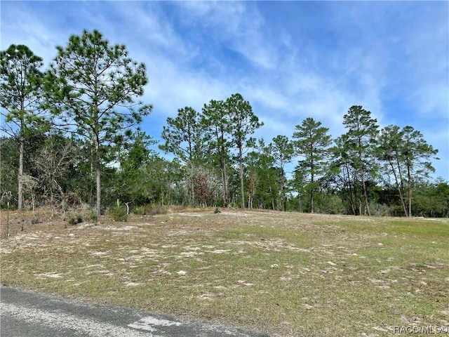 3921 W Fireside Ln, Citrus Springs, FL 34433 - photo 3