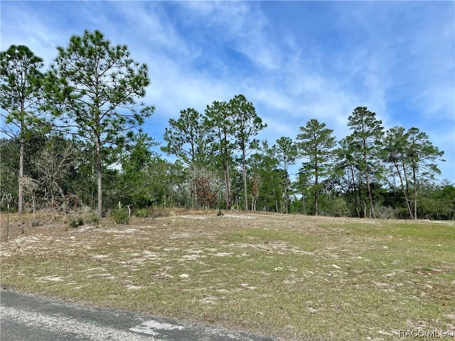 3921 W Fireside Ln, Citrus Springs FL, 34433 land for sale