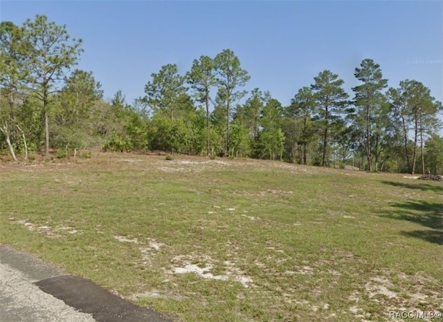 3921 W Fireside Ln, Citrus Springs, FL 34433 - photo 1