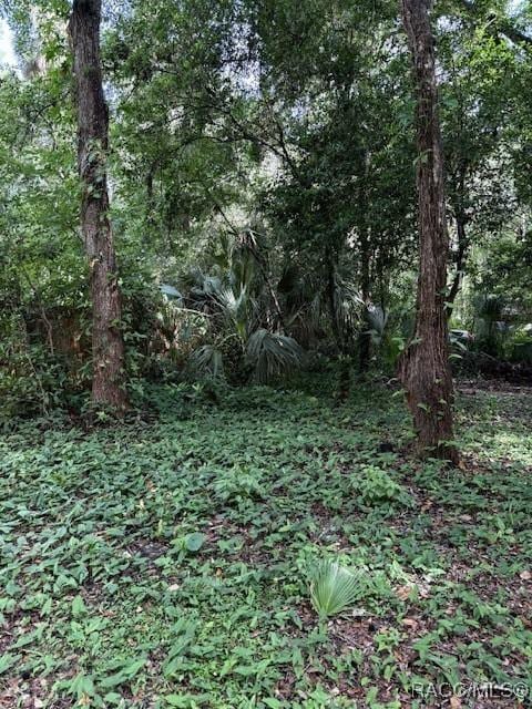 9379 E Tin Pan Aly, Inverness, FL 34453