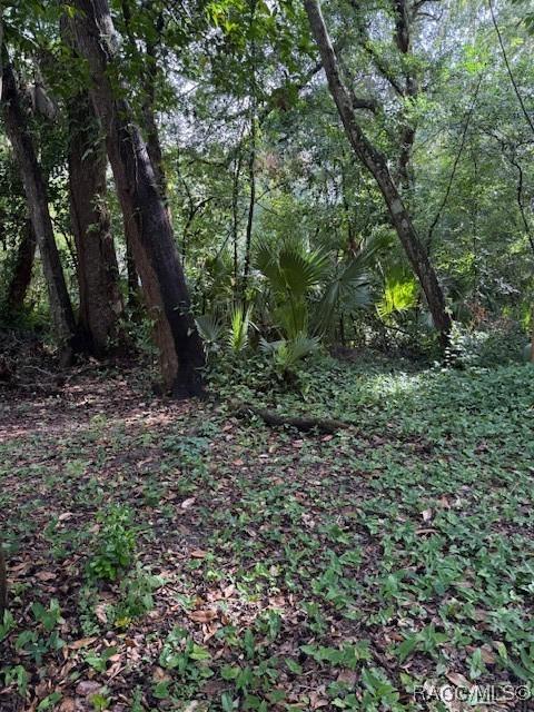 9379 E Tin Pan Aly, Inverness, FL 34453