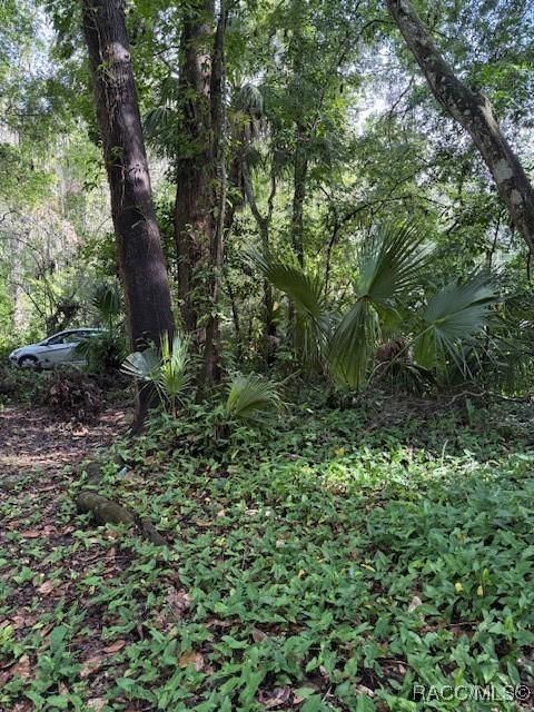 9379 E Tin Pan Aly, Inverness, FL 34453 - photo 9