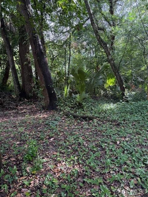 9379 E Tin Pan Aly, Inverness, FL 34453