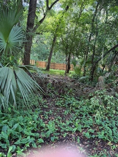 9379 E Tin Pan Aly, Inverness, FL 34453