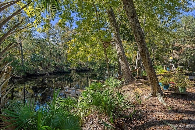 view of landscape with a wooded view