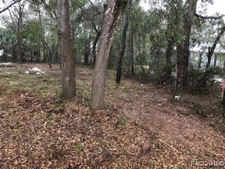 8228 W Kennedy Ln, Crystal River FL, 34428 land for sale