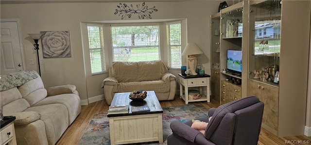 living room with hardwood / wood-style floors