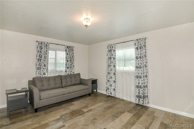 living room with wood-type flooring