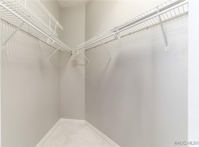 walk in closet featuring carpet