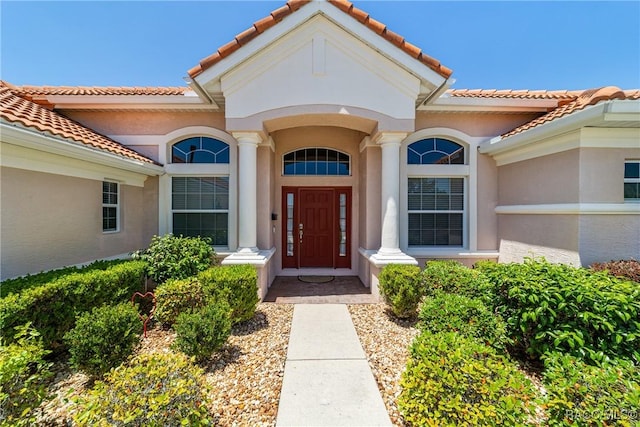 view of exterior entry featuring a tile roof and stucco siding