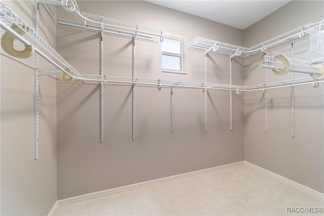 spacious closet with carpet flooring